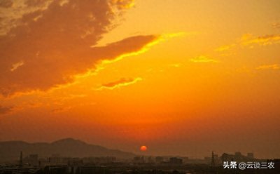 ​夏日余晖下的悠然时光：农村傍晚的树下乘凉