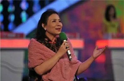 ​作家陈岚在重拳出击和退隐江湖间反复横跳，丑态百出而不自知