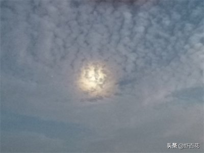 ​夜晚的红海栈道，海波粼粼月光白