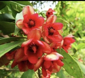 ​云南省文山自治州富宁县92