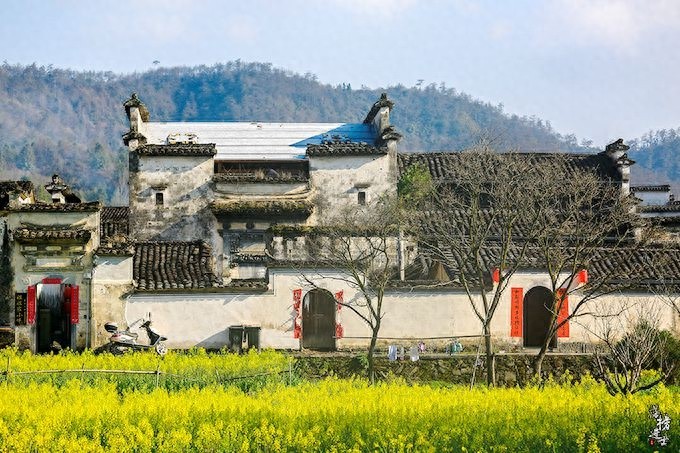 春暖花开，不能可错过的六大踏青好去处，你最想去哪儿？