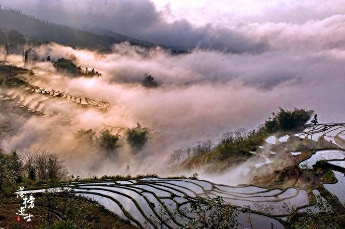 春暖花开，不能可错过的六大踏青好去处，你最想去哪儿？