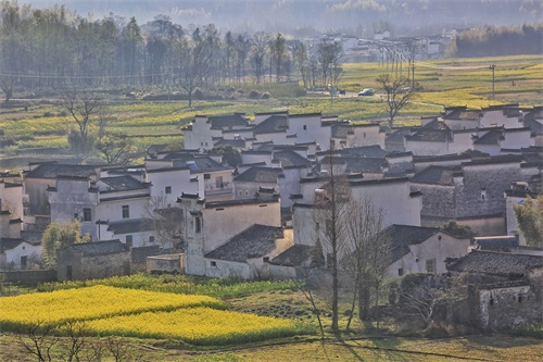 春暖花开，不能可错过的六大踏青好去处，你最想去哪儿？