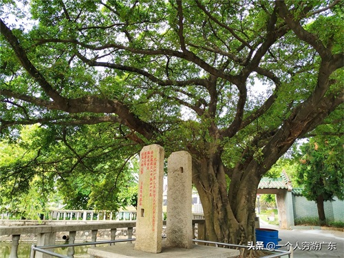 探访：广东佛山康有为故居，感受康先生“沧桑的一生”