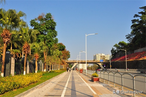 随拍东莞临深小镇 - 凤岗