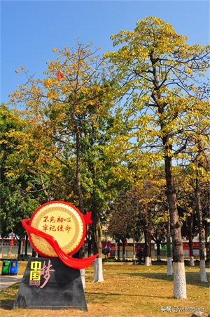 随拍东莞临深小镇 - 凤岗