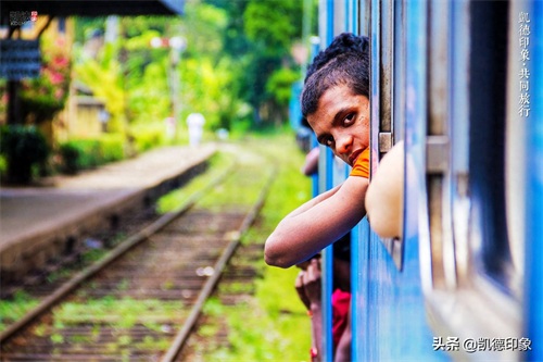世界闻名的锡兰红茶，原来是从中国引种过去的