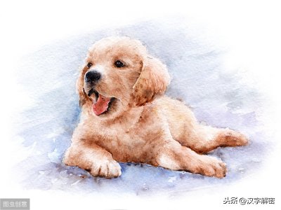 ​满族人为什么不吃狗肉？竟和努尔哈赤有关，真相在一件事