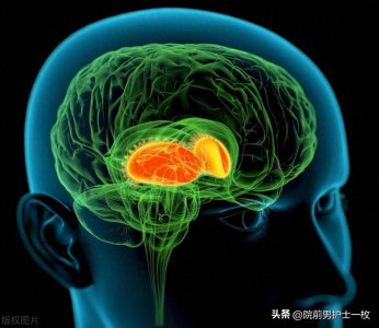 ​卒中评分量表（NIHSS）