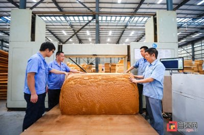 ​解锁经济发展密码：探寻核心驱动力