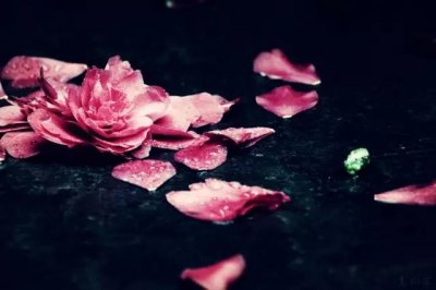 ​一曲《乱红》，扰乱了谁的心扉？（有心事的人不要听）