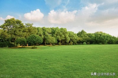 ​如何利用微信公众号实现盈利并经营好公众号