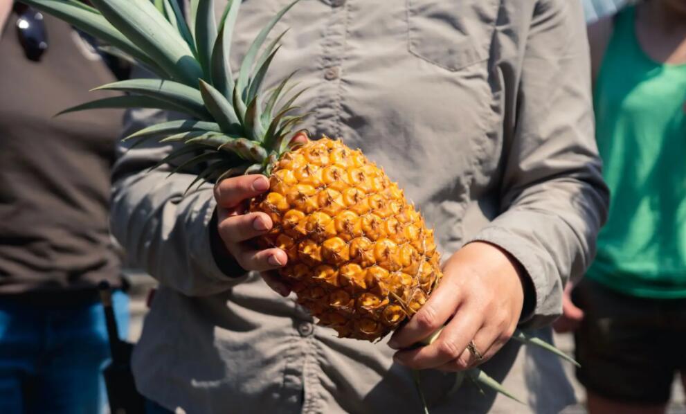 最好看的五部都市情感剧（五部最值得一看的都市电视剧）(4)_