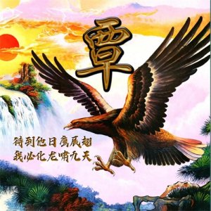 ​96期:霸气单字头像图，待到他日鹰展翅，我必化龙啸九天