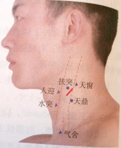 ​每日一穴…扶突穴