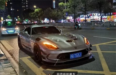 ​稀有的道奇蝰蛇你认识吗？