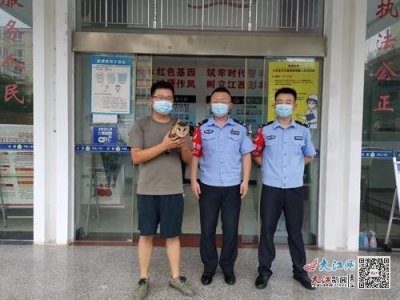 ​彭泽公安成功救助一只国家二级保护动物猴面鹰（图）