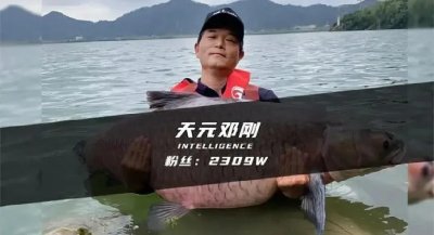 ​独孤求败的钓王，邓刚究竟有多牛？