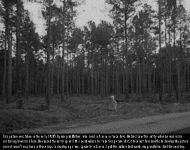 ​阿拉斯加外星人：1930 年代阿拉斯加荒野中的外星人照片