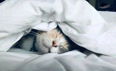 ​一个人开悟后有多可怕。