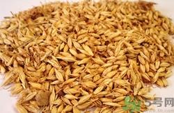 炒麦芽回奶怎么吃?炒麦芽的功效与作用 炒麦芽回奶怎么吃?炒麦芽的功效与作用