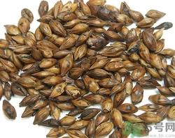 炒麦芽回奶怎么吃?炒麦芽的功效与作用 炒麦芽回奶怎么吃?炒麦芽的功效与作用