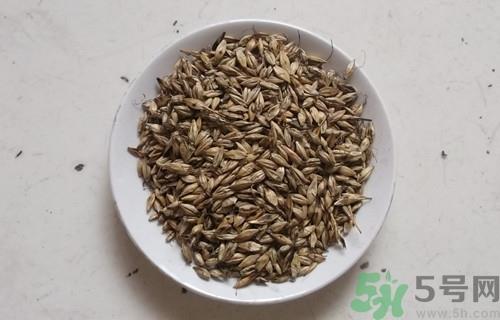 炒麦芽回奶怎么吃?炒麦芽的功效与作用 炒麦芽回奶怎么吃?炒麦芽的功效与作用