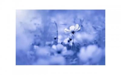 ​真正的性高潮是什么感觉 女性性高潮有哪几种反应