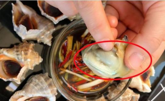 吃海螺时，千万要留意这几个部位，很多人都分不清，还傻傻吃得香