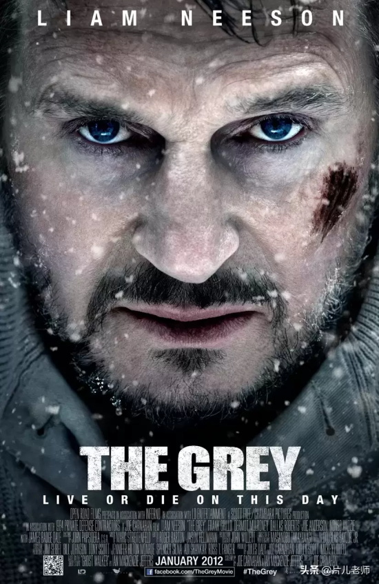 惊险刺激的动作大片有哪些（五部经典高分动作电影推荐）