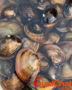 ​河蚌怎么做好吃？河蚌有哪些做法？