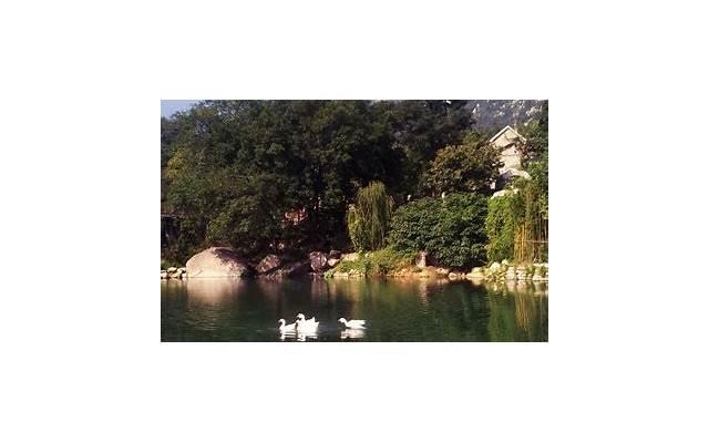 一点儿一点儿地往下咬好吗 一点儿一点儿地往下咬的技巧