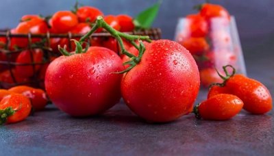 ​西红柿煮熟后是寒性吗还是热性 西红柿煮熟后是寒性吗还是温性