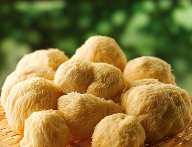 ​猴头菇的作用与功效（增进食欲 增强胃粘膜屏障机能）