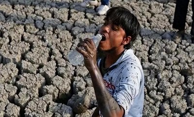 ​印度高温不再适合人类居住，气温已经超过50度，40只猴子热死了