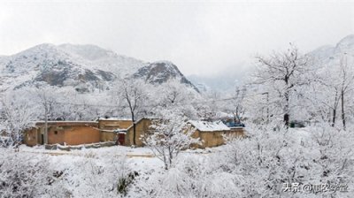 ​今年数九时间表来了！从哪天开始入九？2024春节冷不冷？提前了解