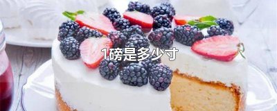 ​蛋糕1磅等于多少寸 一磅蛋糕是多少寸