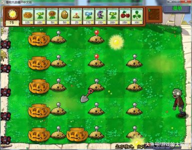 ​植物大战僵尸萌新怎么玩（植物大战僵尸2)