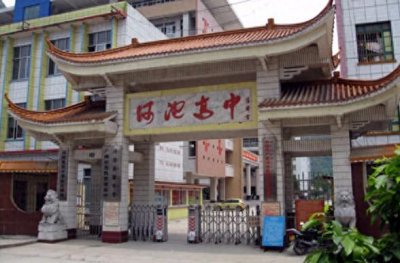 ​河池高中是公立高中，是广西首批重点中学和首批示范性高中‌