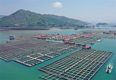 ​（走进县城看发展·图文互动）福建霞浦：用好海洋资源 激活发展新动力