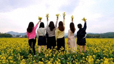 ​爆款来袭！龙田镇邬村村这片金色花海流淌成河……