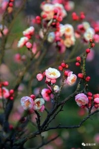 ​20℃！一路“狂飙”！日照下周天气预报出炉！