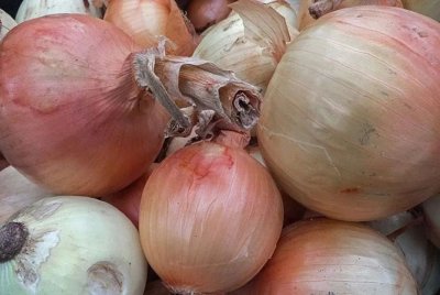 ​缅甸农产品批发市场芝麻、洋葱行情上涨