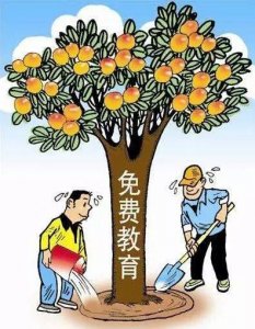 ​济源免除公办普通高中学费 14485人受益 河南第一个