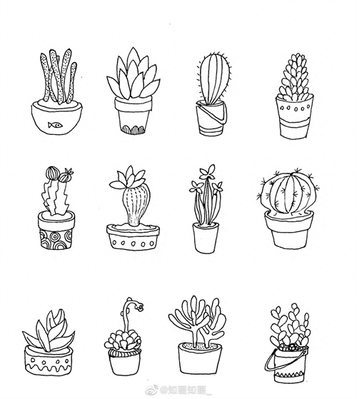 来一波实用又简单的手账盆栽绘画素材，既能自己用还能教孩子画画