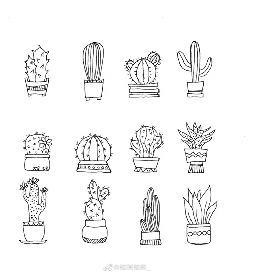 来一波实用又简单的手账盆栽绘画素材，既能自己用还能教孩子画画