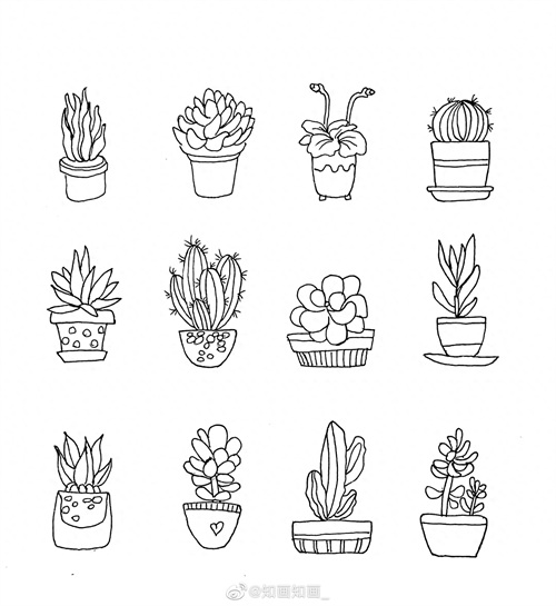 来一波实用又简单的手账盆栽绘画素材，既能自己用还能教孩子画画
