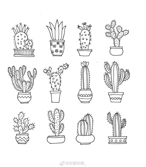 来一波实用又简单的手账盆栽绘画素材，既能自己用还能教孩子画画