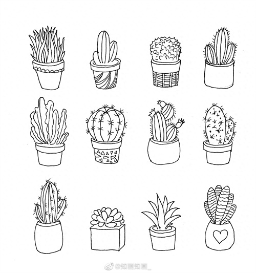 来一波实用又简单的手账盆栽绘画素材，既能自己用还能教孩子画画