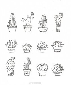 ​来一波实用又简单的手账盆栽绘画素材，既能自己用还能教孩子画画
